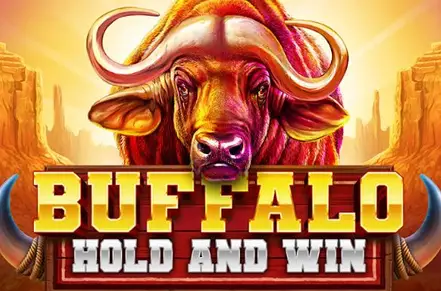 Buffalo Hold and Win